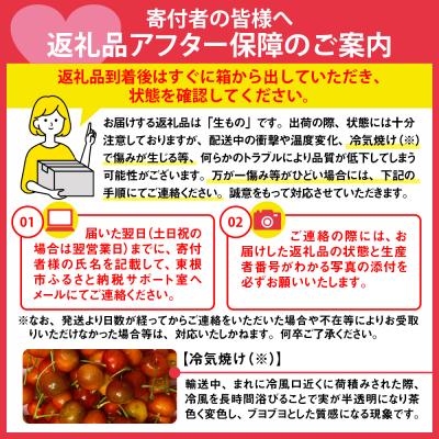 ふるさと納税 東根市 【先行受付】GI「東根さくらんぼ」 2024年産 佐藤錦1kgバラ詰め JA園芸部提供 　