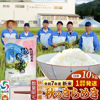 ふるさと納税 仙北市 精米10kg 秋のきらめき 令和7年産 新米受付 秋田県 仙北市産 白米|02_onm-070501