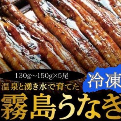 ふるさと納税 霧島市 &lt;冷凍でお届け&gt;霧島市育ちのあの「うなぎ」130〜150g×5尾[田代水産] C-077-RT