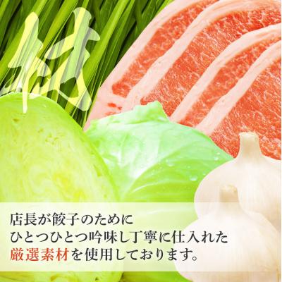 ふるさと納税 邑楽町 冷凍餃子16人前(計約3440g)|09_mnr-011601_2