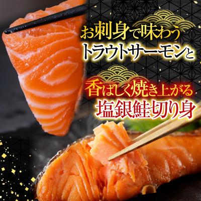 ふるさと納税 根室市 トラウトサーモン2〜5本\u0026塩銀鮭剥き身1切×25P C-09045