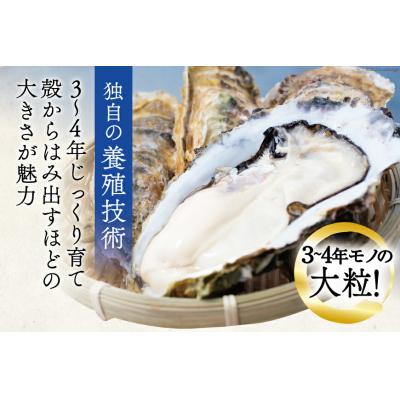 ふるさと納税 気仙沼市 牡蠣 大粒 3〜4年モノ 生食 殻付き牡蠣 約3kg(約9-12個入)[20562174]｜y-sf｜03