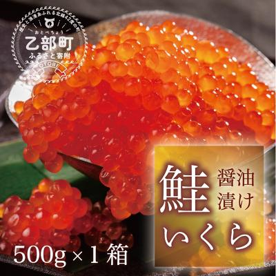 ふるさと納税 乙部町 [2023年新物][笹谷商店いくら 1パック(500g)]