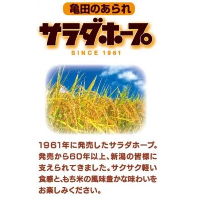 ふるさと納税 阿賀野市 亀田製菓  サラダホープ90g×12袋｜y-sf｜03