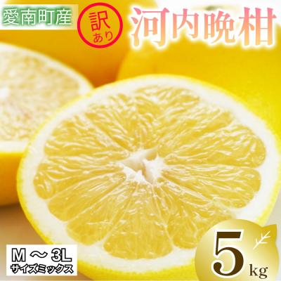 ふるさと納税 愛南町 訳あり 河内晩柑 5kg 傷み補償250g付 愛南ゴールド 柑橘 愛南町 清家ばんかんビレッジ