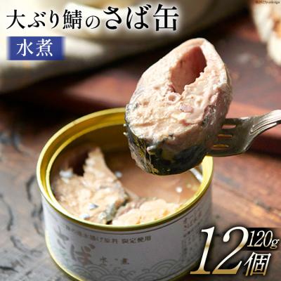 ふるさと納税 気仙沼市 大ぶり鯖のさば缶 12缶 セット 水煮 モンマルシェ 20565067