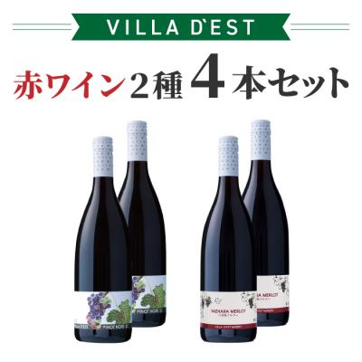 ふるさと納税 東御市 赤ワイン 2種4本セット[ヴィラデストワイナリー] (八重原メルロー・ピノ・ノワール)