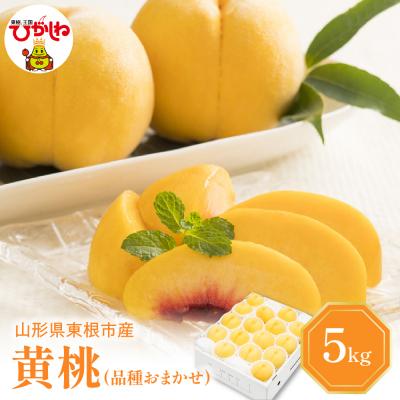 ふるさと納税 東根市 [2026年産] 黄桃 (品種おまかせ) 5kg 秀品 化粧箱入り hi027-262