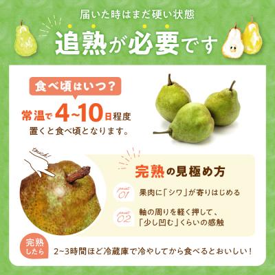 ふるさと納税 東根市 【2024年産 先行受付】西洋梨 ラ・フランス 約5kg(16〜18玉入) 山形県 東根市産｜y-sf｜03