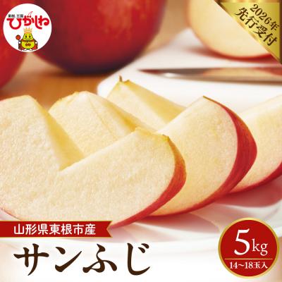 ふるさと納税 東根市 2026年産 太陽の恵みをいっぱいに浴びたりんご サンふじ約5kg(14〜18玉)hi026-062