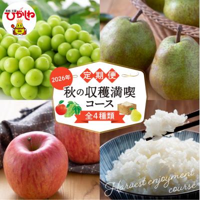 ふるさと納税 東根市 [2026年定期便4回]秋の収穫満喫コース(2026年9月スタート) hi003-160