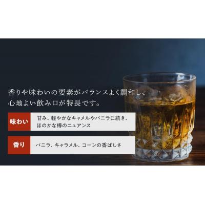 ふるさと納税 栃木市 サントリー ウィスキー 体操場光芒 2.7リッター×1本