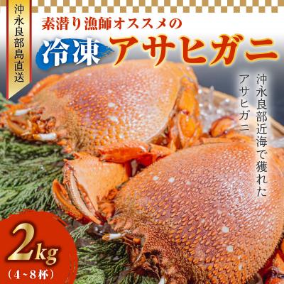 現役漁師も愛用！ 釣り餌用 冷凍イシガニ2kg カニ エサ 石蟹