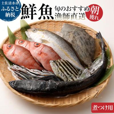 ふるさと納税 土佐清水市 旬の朝獲れ鮮魚(煮つけ用)漁師おすすめセット[以布利定置網 漁師直送][R00405]