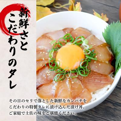 ふるさと納税 田野町 これが魚屋の漬け丼だ! 〜カンパチ〜 80g×10P ★訳あり★｜y-sf｜02