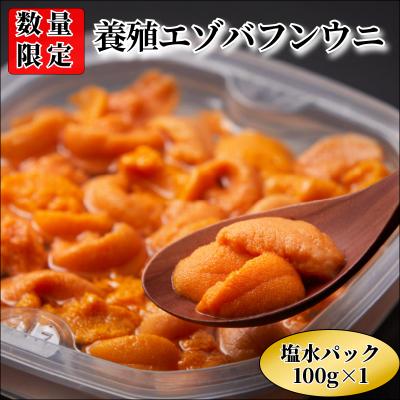 ふるさと納税 浜中町 [数量限定]浜中産 養殖エゾバフンウニ(塩水パック)100g