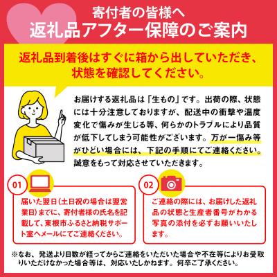 ふるさと納税 東根市 【先行受付】2024年 東根市産 有袋黄桃【品種おまかせ】秀品&シャインマスカット詰め合わせ3kg｜y-sf｜03