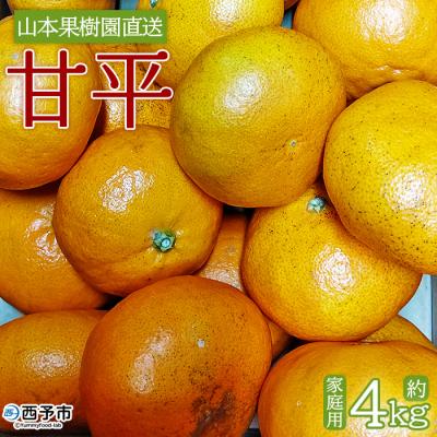 ふるさと納税 西予市 山本果樹園直送 愛媛県西予市三瓶産 甘平 約4kg(家庭用)