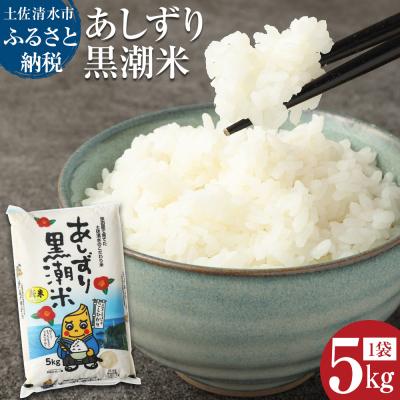 ふるさと納税 土佐清水市 令和5年産 あしずり黒潮米5kg(コシヒカリ)精米 白米 ブランド米 ご飯[R00193]