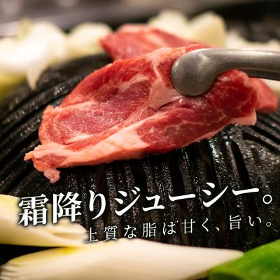 ふるさと納税 千歳市 特撰 生ラム (冷凍)タレ付 600g＜肉の山本＞