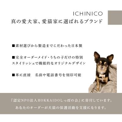 ふるさと納税 千歳市 ICHINICOオンラインショップ お仕立て券10,000円分の画像