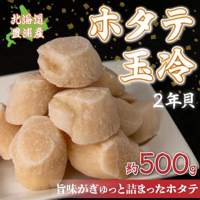 ふるさと納税 豊浦町 ホタテ 北海道 豊浦 噴火湾 礼文華 約500g 帆立 貝柱 2年貝 TYUAD002 | 