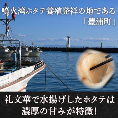 ふるさと納税 豊浦町 ホタテ 北海道 豊浦 噴火湾 礼文華 約500g 帆立 貝柱 2年貝 TYUAD002 |  | 01
