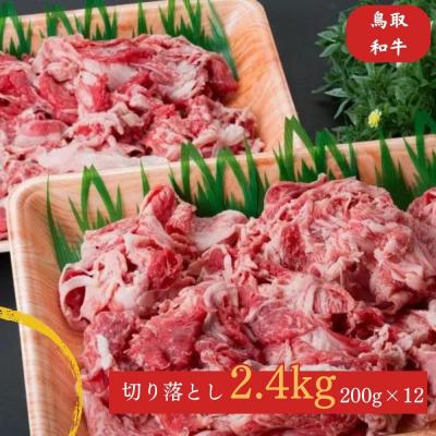 ふるさと納税 倉吉市 鳥取和牛 切り落とし肉2.4kg