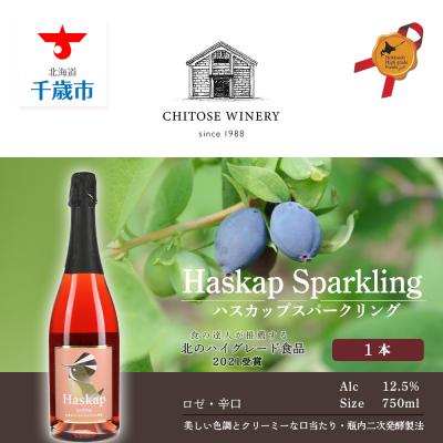 ふるさと納税 千歳市 千歳ワイナリー ハスカップスパークリング750ml×1本