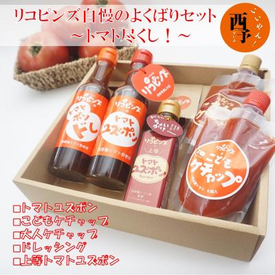 ふるさと納税 西予市 &lt;トマト尽くし!リコピンズ自慢のよくばりセット&gt; ケチャップ ドレッシング ポン酢 城川 加工品