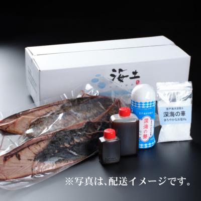 ふるさと納税 室戸市 定期便(12回お届け)訳あり炭焼きかつおのたたき 2節 4〜6人前