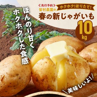 ふるさと納税 和泊町 [先行受付]皆村農園のホクホク!ほりたて!春の新じゃがいも10キロ[1月下旬〜4月下旬]