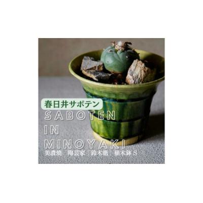 ふるさと納税 春日井市 多治見市×春日井市[美濃焼]陶芸家「鈴木徹」植木鉢S×[サボテン]春日井市の名店 後藤サボテン