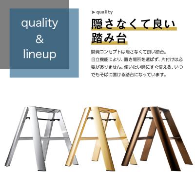ふるさと納税 千代田町 デザイン 踏台 【ルカーノ】2ステップ ML2.0-2J(SI)シルバー　ch012-004s_1