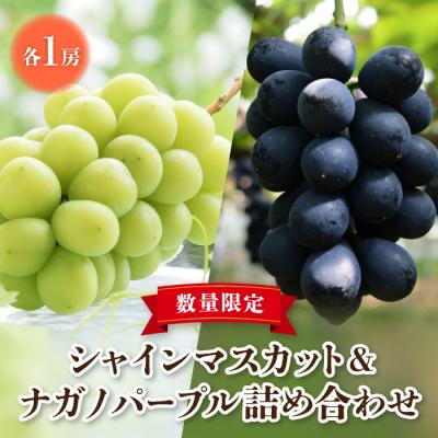 ふるさと納税 東御市 東御市産シャインマスカット1房&amp;ナガノパープル1房