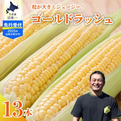 ふるさと納税 芽室町 [先行受付]2026年度産 中捨農場 ゴールドラッシュ13本 me062-002c-26