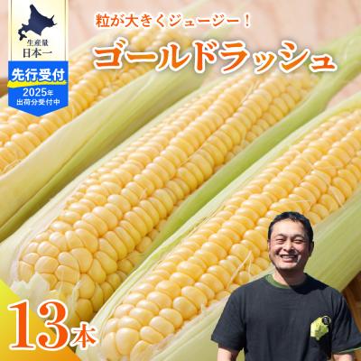 ふるさと納税 芽室町 [2024年先行受付]北海道十勝芽室町 ゴールドラッシュ13本 me062-002-24c