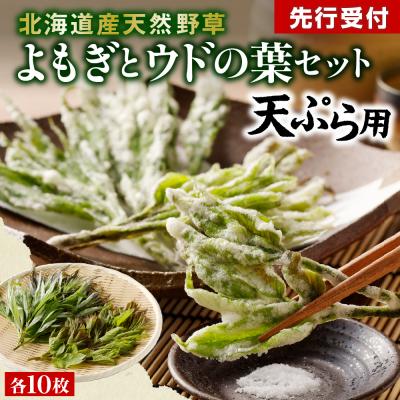 ふるさと納税 芽室町 [先行受付][2026年5月発送]天ぷら用 ヨモギとウドの葉セット me011-006c