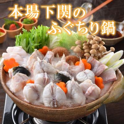 ふるさと納税 下関市 ふぐ 刺身 ちり セット 5〜6人前 冷蔵 とらふぐ 刺し 160g ※配送指定日必須 FP001_2