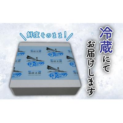 ふるさと納税 下関市 ふぐ 刺身 セット とらふぐ (30cm皿 3-4人前) 日指定可 FP007_2