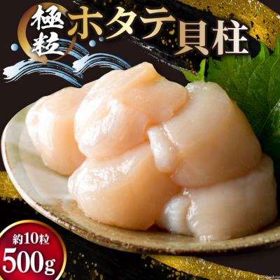 ふるさと納税 気仙沼市 ホタテ 極粒 帆立貝柱 冷凍 (約500g/10粒前後)  20564003 | 