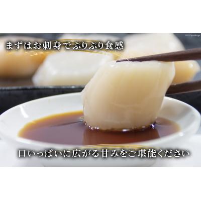 ふるさと納税 気仙沼市 ホタテ 極粒 帆立貝柱 冷凍 (約500g/10粒前後)  20564003 |  | 01