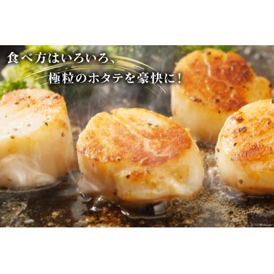 ふるさと納税 気仙沼市 ホタテ 極粒 帆立貝柱 冷凍 (約500g/10粒前後)  20564003 |  | 02