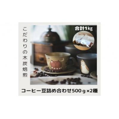 ふるさと納税 鳩山町 木炭焙煎珈琲豆 500g×2種セット 1kg 豆
