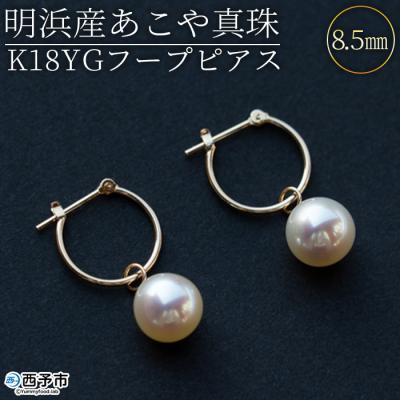 ふるさと納税 西予市 <明浜産あこや真珠8.5mm K18YGフープピアス> パール ジュエリー アクセサリー