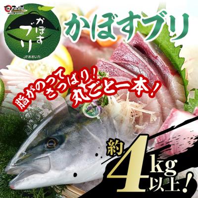 ふるさと納税 佐伯市 米水津産かぼすブリ(約4kg以上)