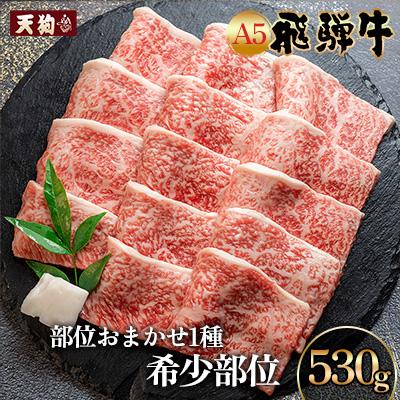 ふるさと納税 下呂市 A5 飛騨牛希少部位 おまかせ1種 530g[11-1019]