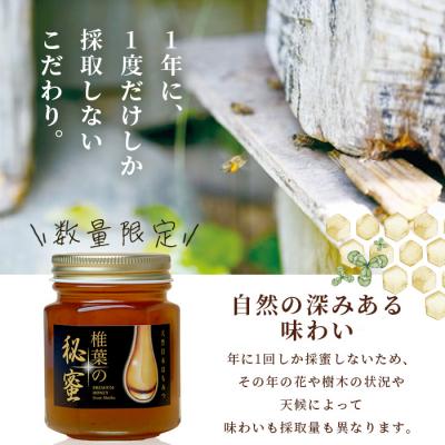 ふるさと納税 椎葉村 【秘境を味わう】椎葉の秘蜜 【150g×2本】国産天然はちみつ【数量限定】 MS-08_1