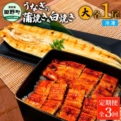 ふるさと納税 田野町 田野町産うなぎの蒲焼き(大)+うなぎの白焼き(大) 各1尾×3回 定期便