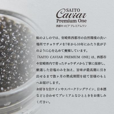 ふるさと納税 西都市 SAITO CAVIAR PREMIUM ONE  BAERII 12g 西都キャビア[2443]｜y-sf｜02